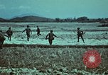 Image of survival techniques Philippines, 1968, second 13 stock footage video 65675072407