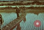 Image of survival techniques Philippines, 1968, second 15 stock footage video 65675072407