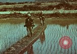 Image of survival techniques Philippines, 1968, second 16 stock footage video 65675072407