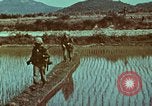 Image of survival techniques Philippines, 1968, second 17 stock footage video 65675072407