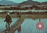 Image of survival techniques Philippines, 1968, second 18 stock footage video 65675072407