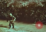 Image of survival techniques Philippines, 1968, second 20 stock footage video 65675072407