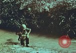 Image of survival techniques Philippines, 1968, second 21 stock footage video 65675072407