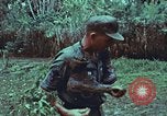 Image of survival techniques Philippines, 1968, second 25 stock footage video 65675072407