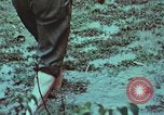 Image of survival techniques Philippines, 1968, second 31 stock footage video 65675072407