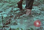 Image of survival techniques Philippines, 1968, second 33 stock footage video 65675072407