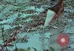 Image of survival techniques Philippines, 1968, second 34 stock footage video 65675072407
