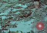 Image of survival techniques Philippines, 1968, second 35 stock footage video 65675072407