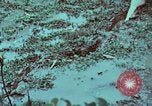 Image of survival techniques Philippines, 1968, second 36 stock footage video 65675072407