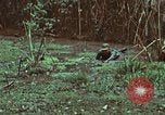 Image of survival techniques Philippines, 1968, second 38 stock footage video 65675072407