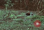 Image of survival techniques Philippines, 1968, second 39 stock footage video 65675072407