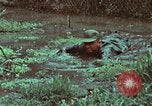 Image of survival techniques Philippines, 1968, second 42 stock footage video 65675072407