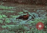 Image of survival techniques Philippines, 1968, second 45 stock footage video 65675072407