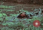 Image of survival techniques Philippines, 1968, second 46 stock footage video 65675072407
