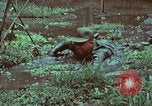 Image of survival techniques Philippines, 1968, second 53 stock footage video 65675072407