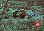 Image of survival techniques Philippines, 1968, second 57 stock footage video 65675072407