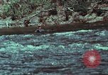 Image of survival techniques Philippines, 1968, second 4 stock footage video 65675072408
