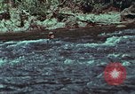 Image of survival techniques Philippines, 1968, second 10 stock footage video 65675072408