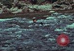Image of survival techniques Philippines, 1968, second 15 stock footage video 65675072408