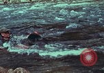 Image of survival techniques Philippines, 1968, second 20 stock footage video 65675072408