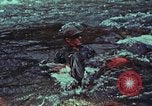 Image of survival techniques Philippines, 1968, second 23 stock footage video 65675072408