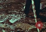 Image of survival techniques Philippines, 1968, second 38 stock footage video 65675072408