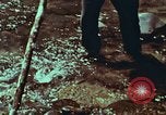 Image of survival techniques Philippines, 1968, second 39 stock footage video 65675072408