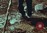 Image of survival techniques Philippines, 1968, second 40 stock footage video 65675072408