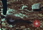 Image of survival techniques Philippines, 1968, second 43 stock footage video 65675072408