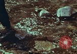 Image of survival techniques Philippines, 1968, second 45 stock footage video 65675072408