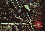 Image of survival techniques Philippines, 1968, second 47 stock footage video 65675072408