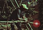 Image of survival techniques Philippines, 1968, second 48 stock footage video 65675072408