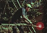 Image of survival techniques Philippines, 1968, second 51 stock footage video 65675072408