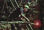 Image of survival techniques Philippines, 1968, second 53 stock footage video 65675072408