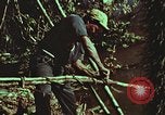 Image of survival techniques Philippines, 1968, second 54 stock footage video 65675072408