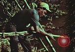 Image of survival techniques Philippines, 1968, second 55 stock footage video 65675072408