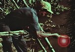 Image of survival techniques Philippines, 1968, second 56 stock footage video 65675072408