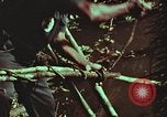 Image of survival techniques Philippines, 1968, second 57 stock footage video 65675072408
