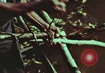 Image of survival techniques Philippines, 1968, second 59 stock footage video 65675072408