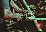 Image of survival techniques Philippines, 1968, second 60 stock footage video 65675072408