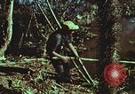 Image of survival techniques Philippines, 1968, second 62 stock footage video 65675072408