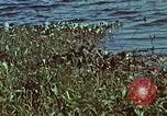 Image of survival techniques Philippines, 1968, second 9 stock footage video 65675072409