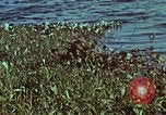Image of survival techniques Philippines, 1968, second 10 stock footage video 65675072409