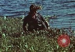 Image of survival techniques Philippines, 1968, second 12 stock footage video 65675072409
