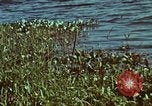 Image of survival techniques Philippines, 1968, second 20 stock footage video 65675072409