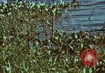 Image of survival techniques Philippines, 1968, second 21 stock footage video 65675072409