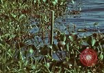 Image of survival techniques Philippines, 1968, second 23 stock footage video 65675072409
