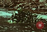 Image of survival techniques Philippines, 1968, second 26 stock footage video 65675072409