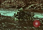 Image of survival techniques Philippines, 1968, second 27 stock footage video 65675072409