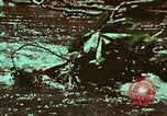Image of survival techniques Philippines, 1968, second 29 stock footage video 65675072409